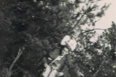 Baas-boven-baas-1949